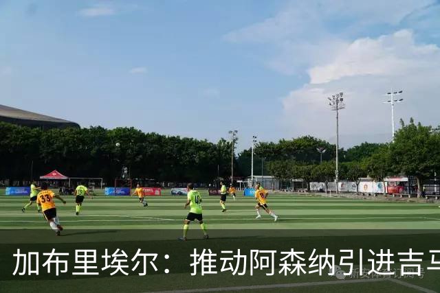 加布里埃尔：推动阿森纳引进吉马良斯让我倍感欣喜